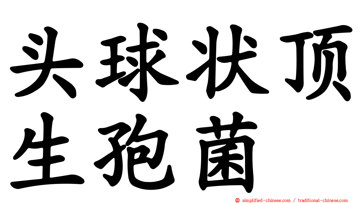 头球状顶生孢菌