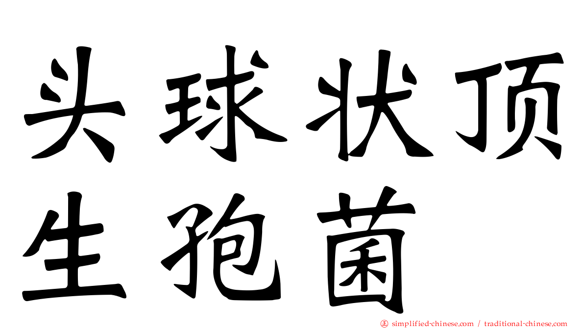 头球状顶生孢菌