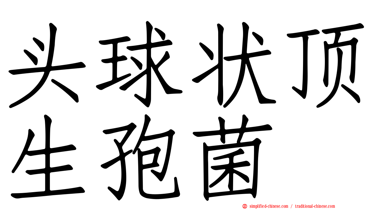 头球状顶生孢菌
