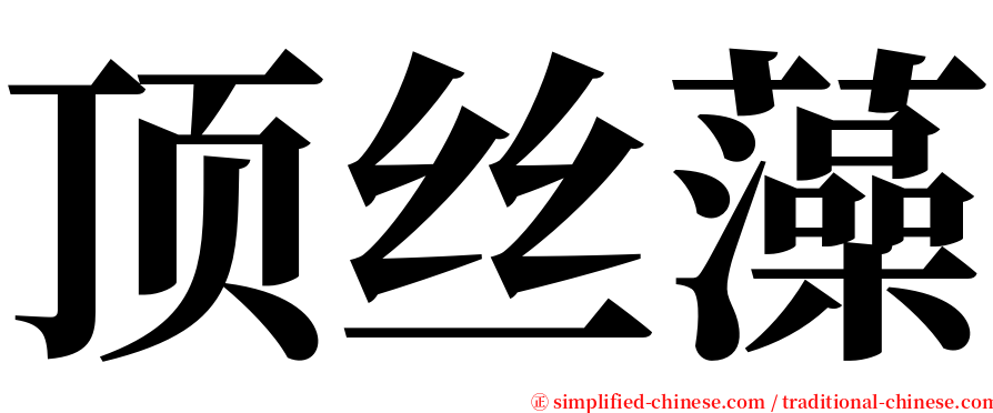 顶丝藻 serif font