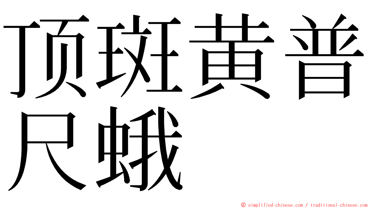 顶斑黄普尺蛾 ming font