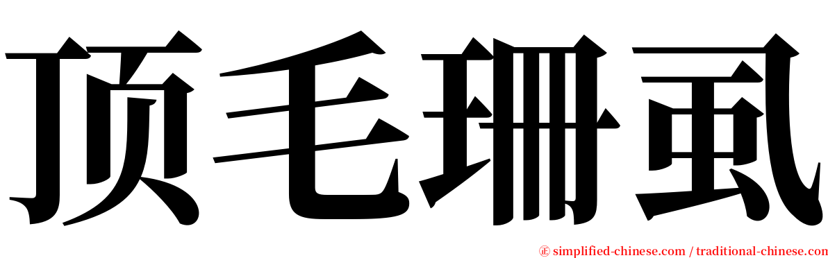 顶毛珊虱 serif font