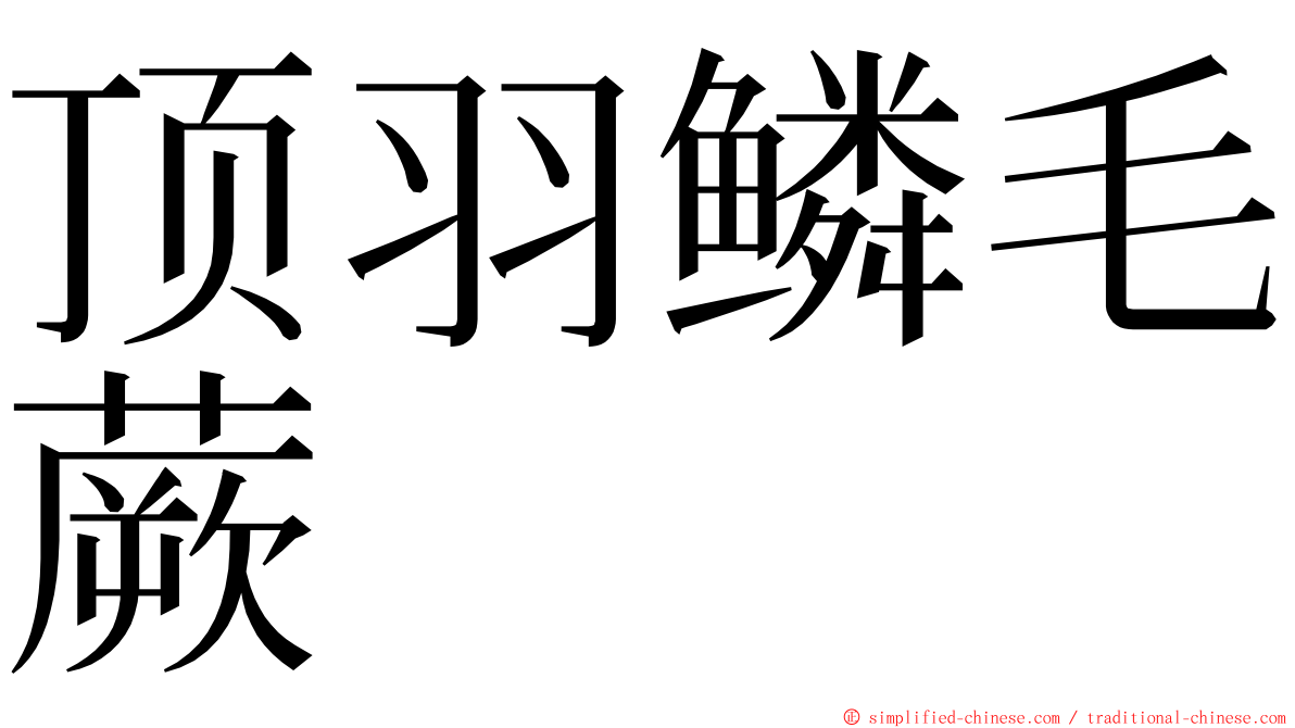 顶羽鳞毛蕨 ming font