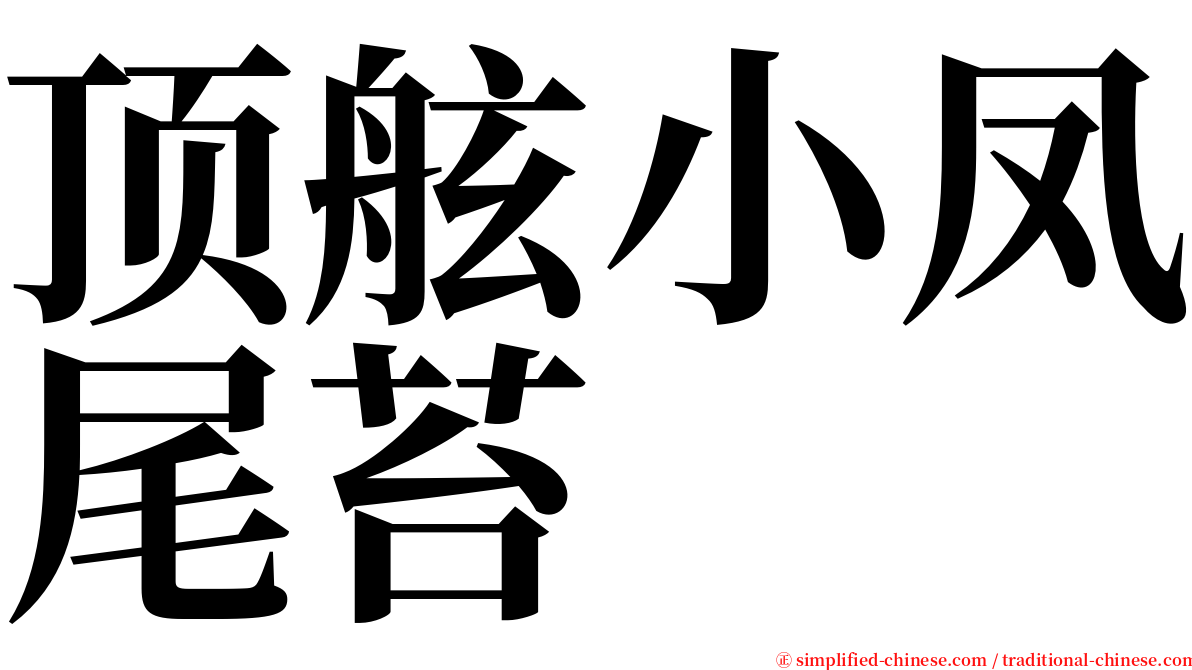 顶舷小凤尾苔 serif font