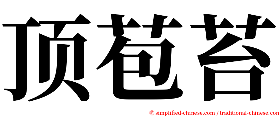 顶苞苔 serif font