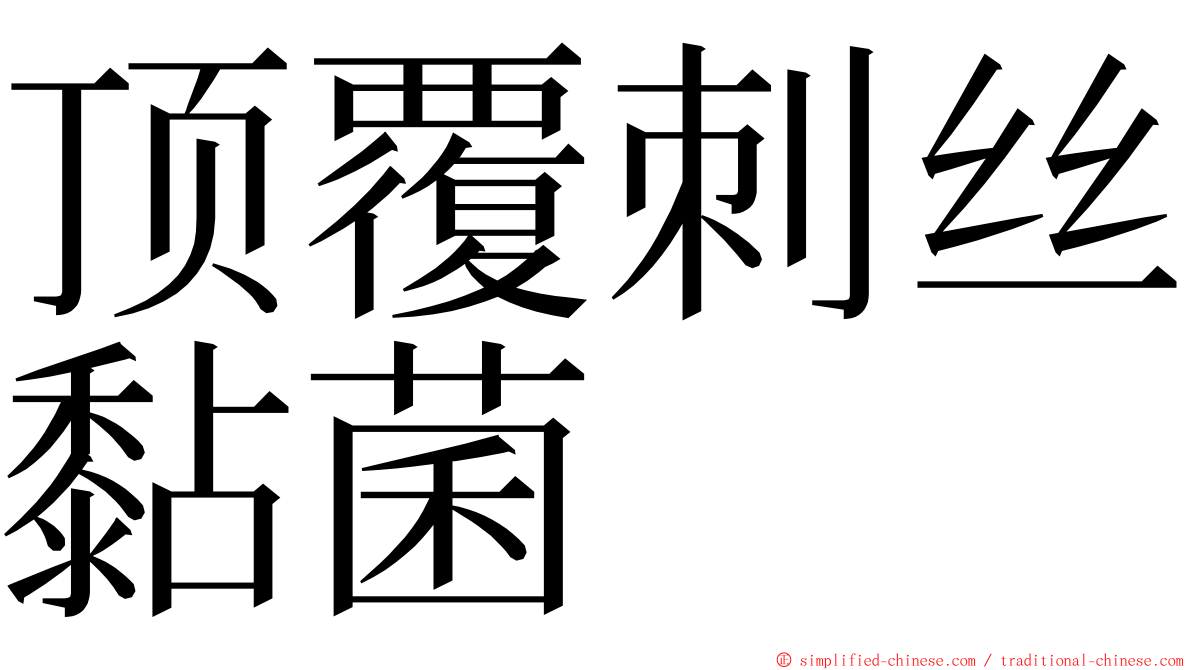 顶覆刺丝黏菌 ming font