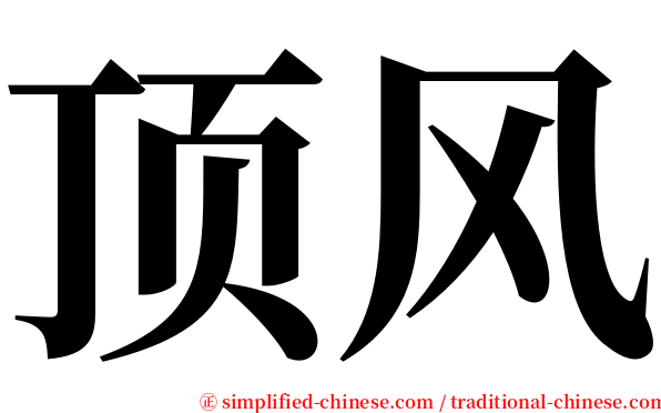 顶风 serif font