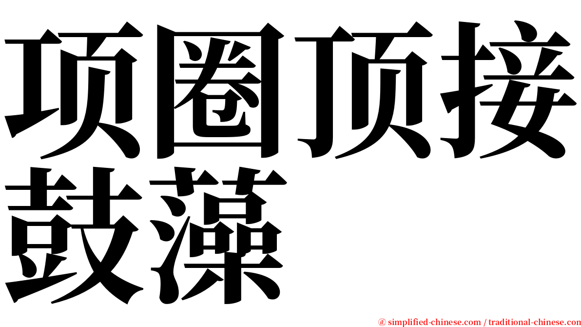 项圈顶接鼓藻 serif font