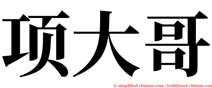 项大哥 serif font