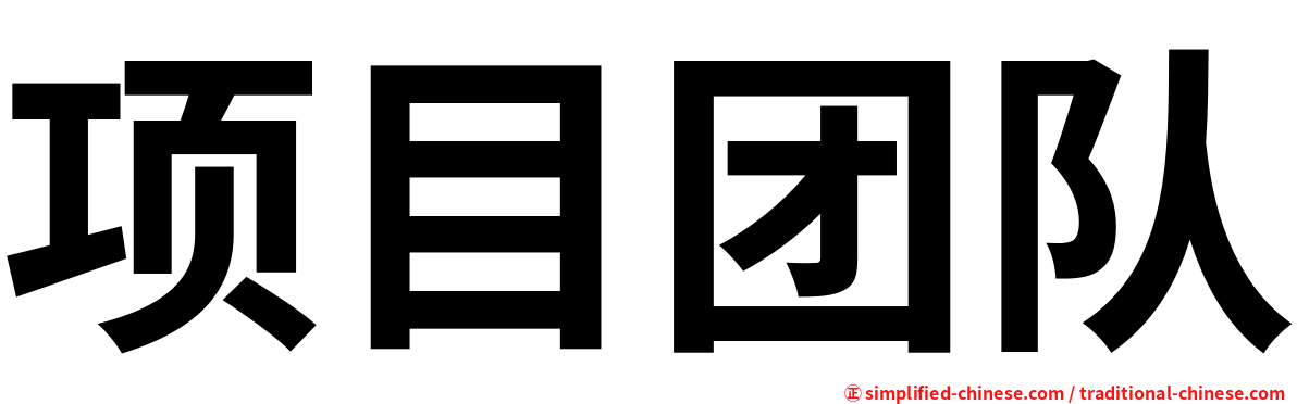 项目团队