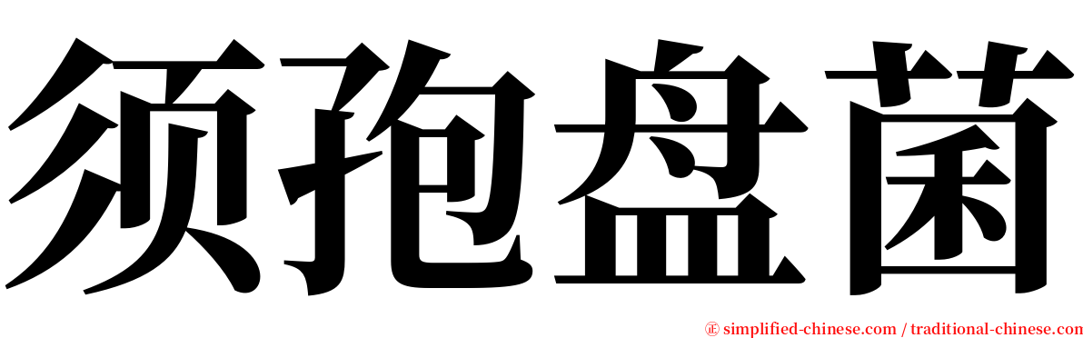 须孢盘菌 serif font