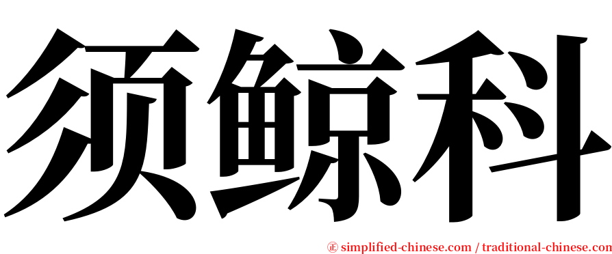 须鲸科 serif font