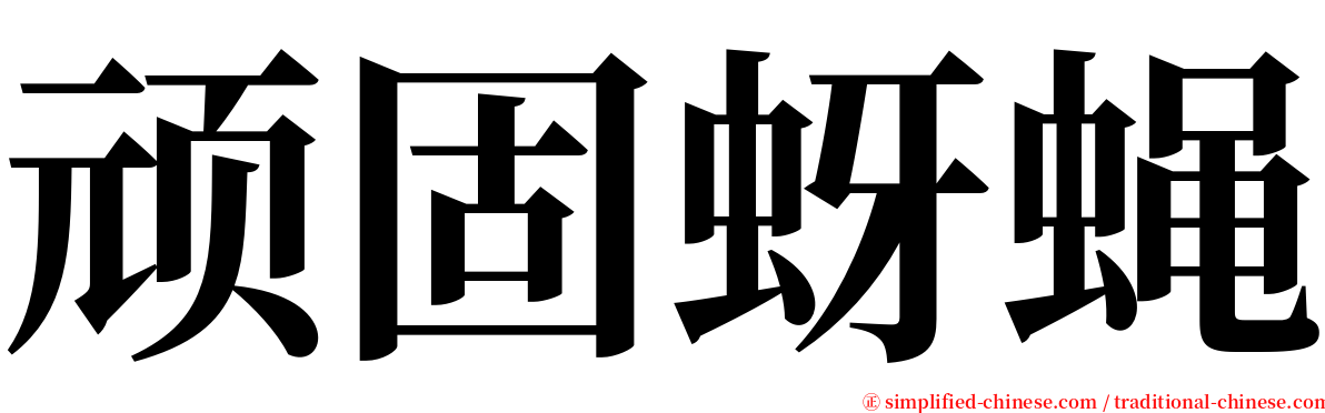 顽固蚜蝇 serif font