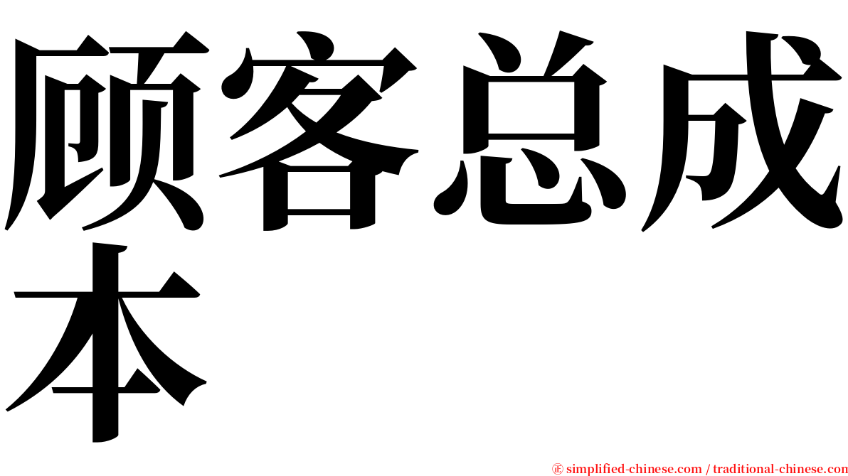 顾客总成本 serif font