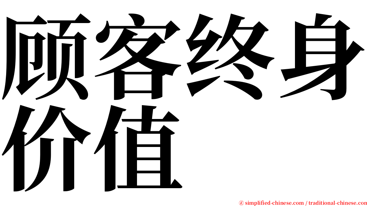 顾客终身价值 serif font