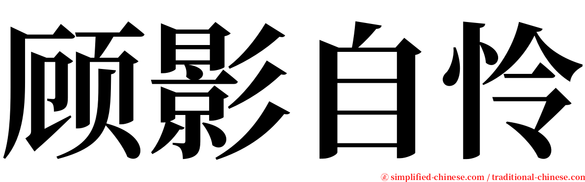 顾影自怜 serif font