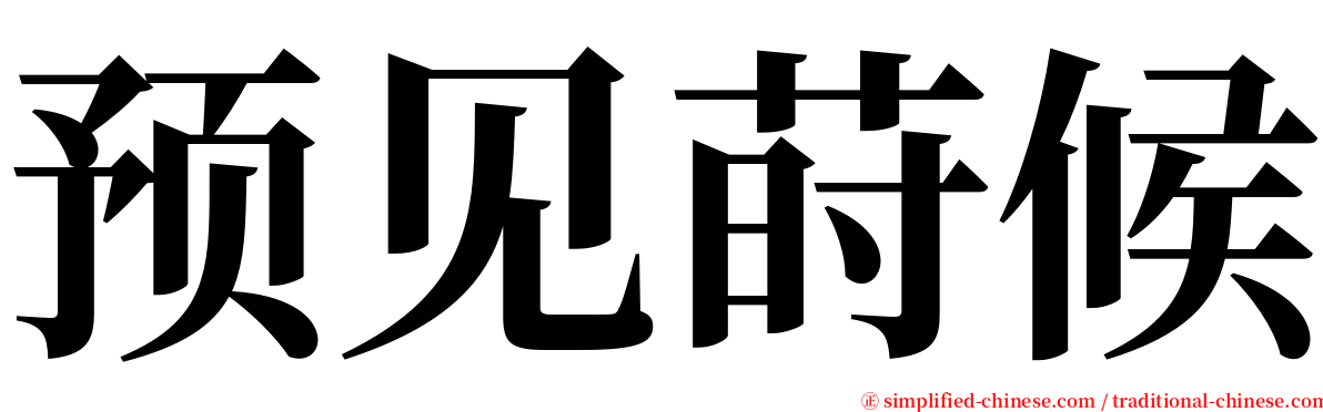 预见莳候 serif font