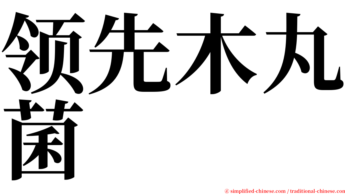 领先木丸菌 serif font