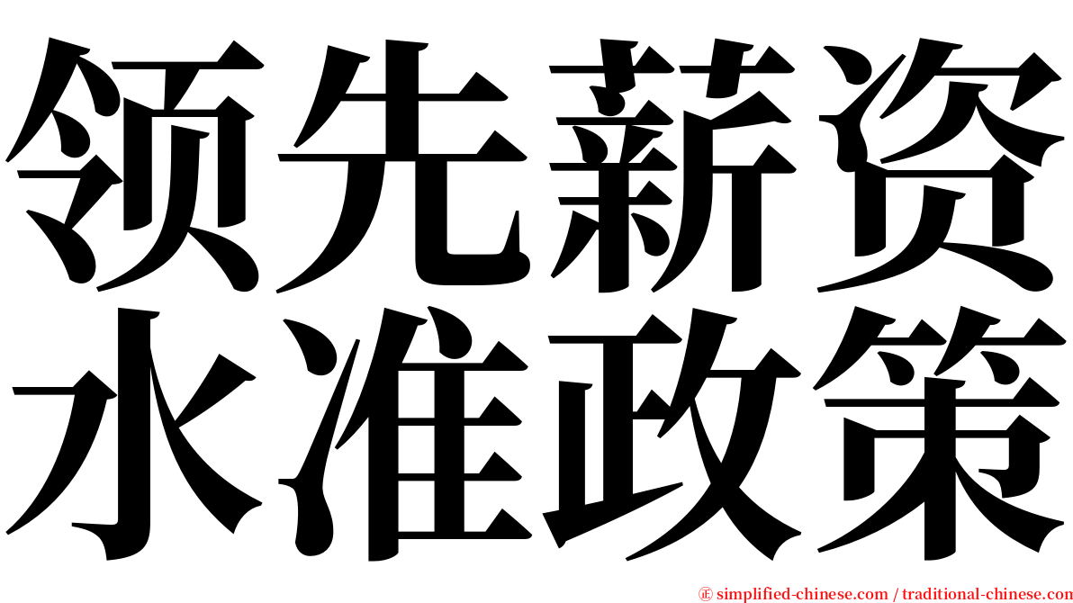 领先薪资水准政策 serif font