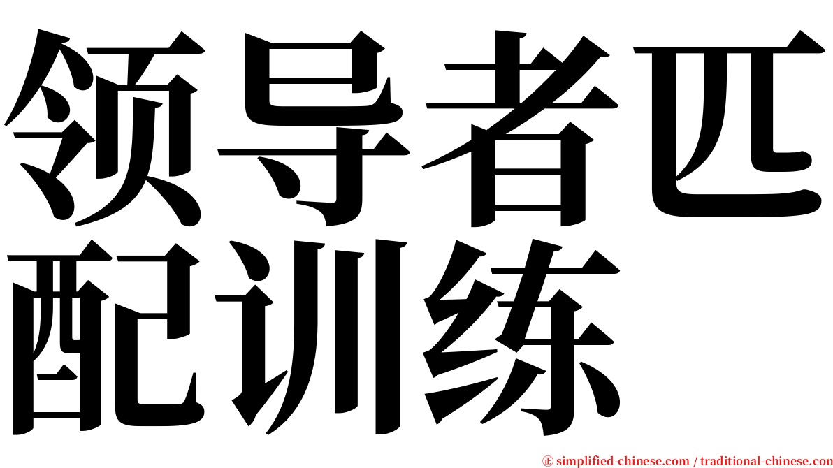 领导者匹配训练 serif font