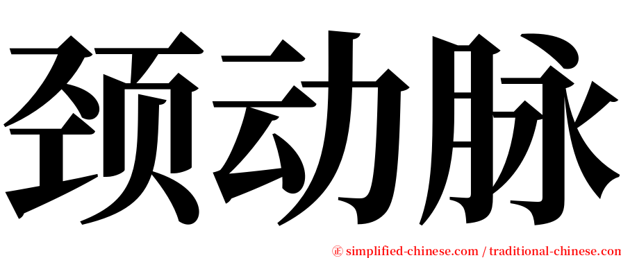 颈动脉 serif font