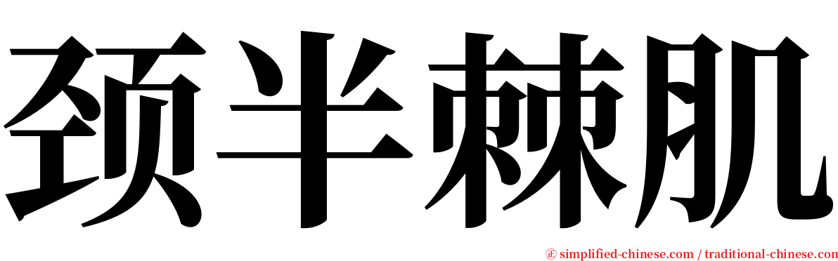 颈半棘肌 serif font