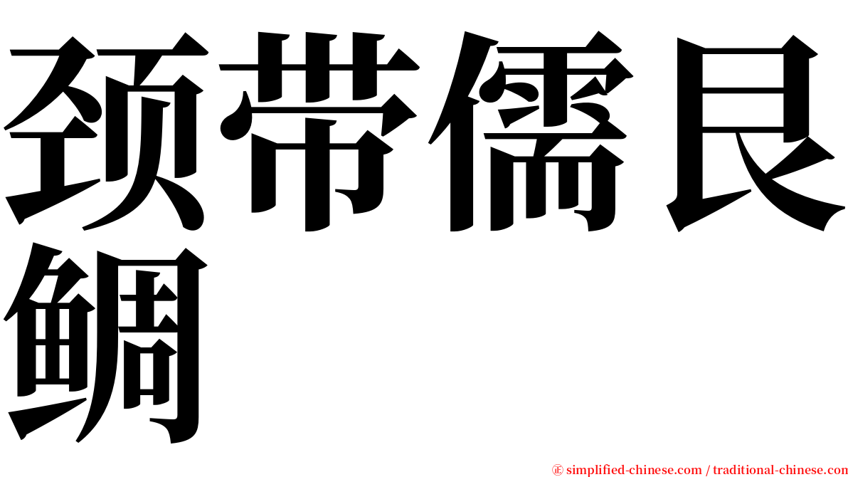 颈带儒艮鲷 serif font