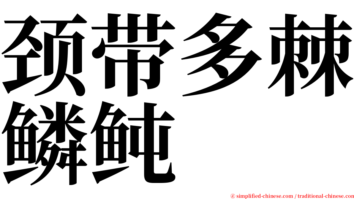 颈带多棘鳞鲀 serif font