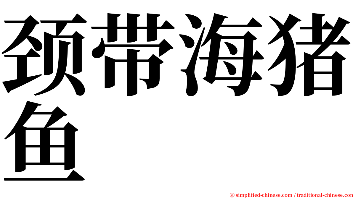 颈带海猪鱼 serif font