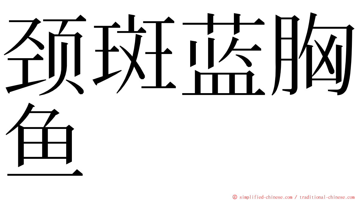 颈斑蓝胸鱼 ming font