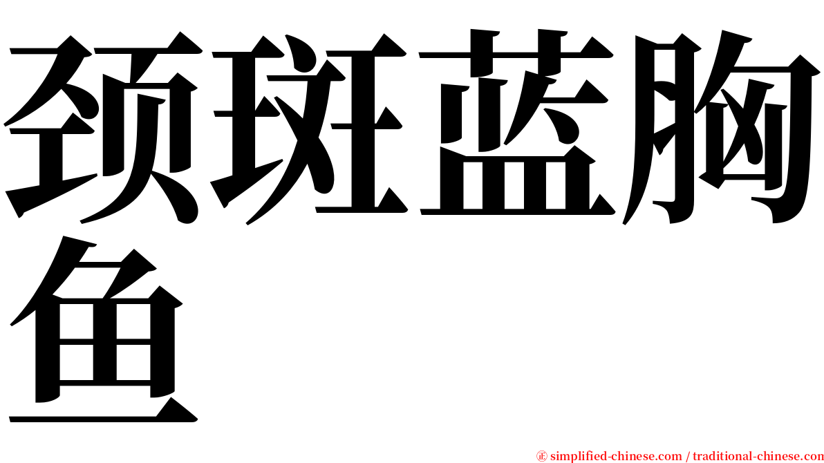 颈斑蓝胸鱼 serif font