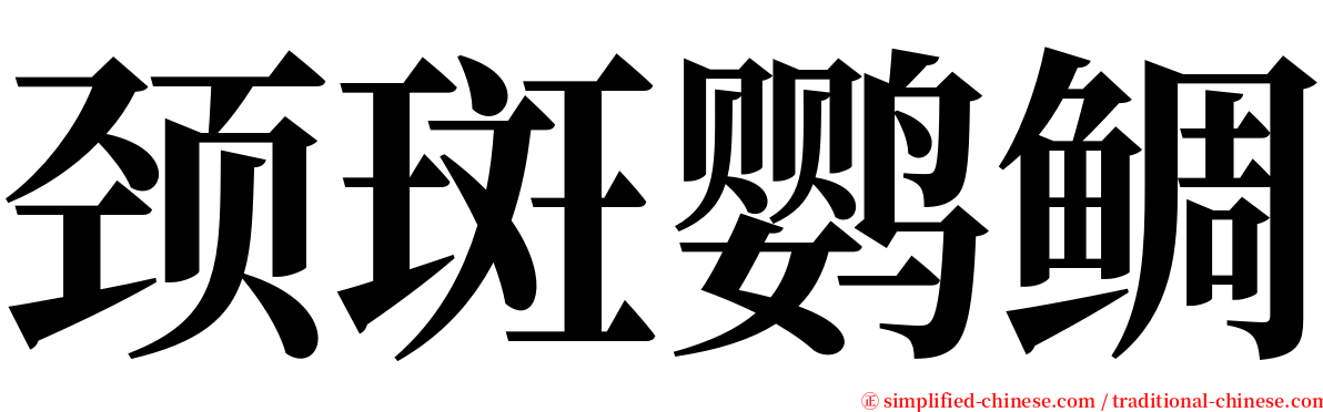 颈斑鹦鲷 serif font