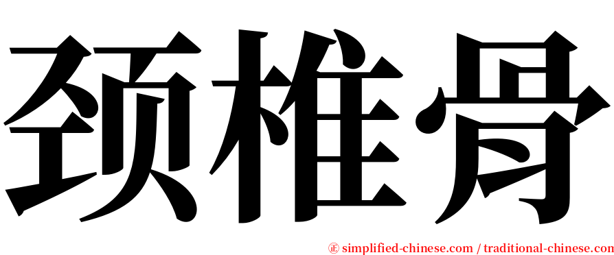 颈椎骨 serif font