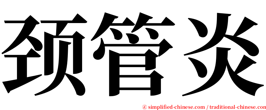 颈管炎 serif font