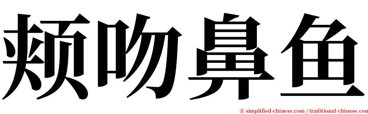 颊吻鼻鱼 serif font