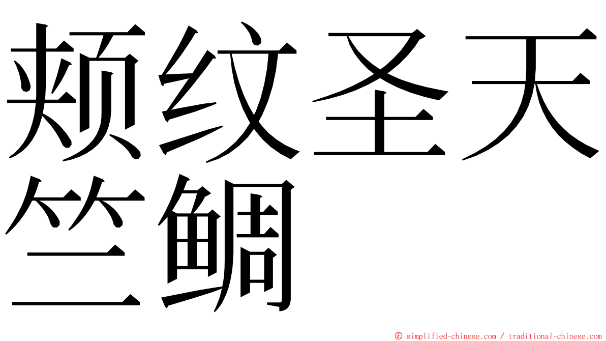 颊纹圣天竺鲷 ming font