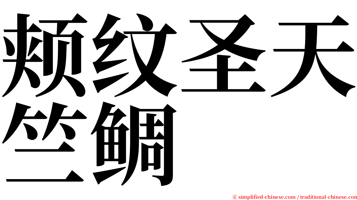 颊纹圣天竺鲷 serif font