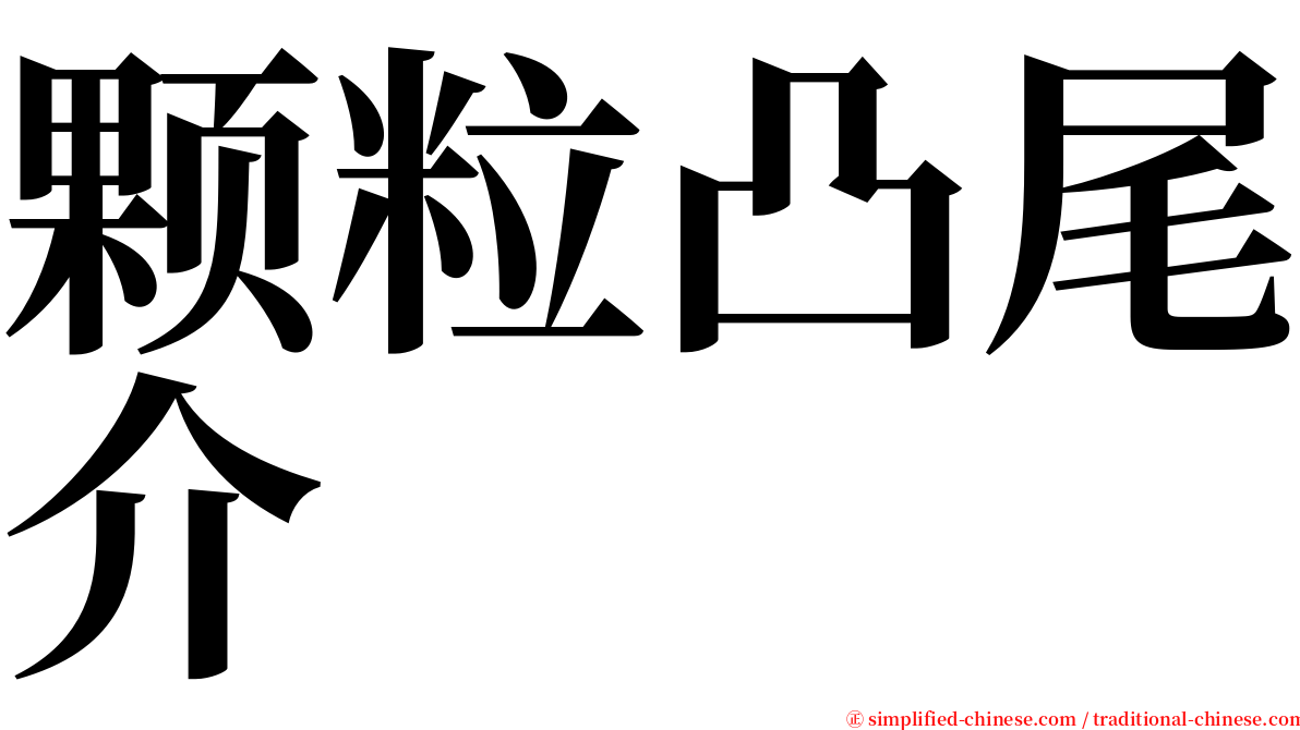 颗粒凸尾介 serif font