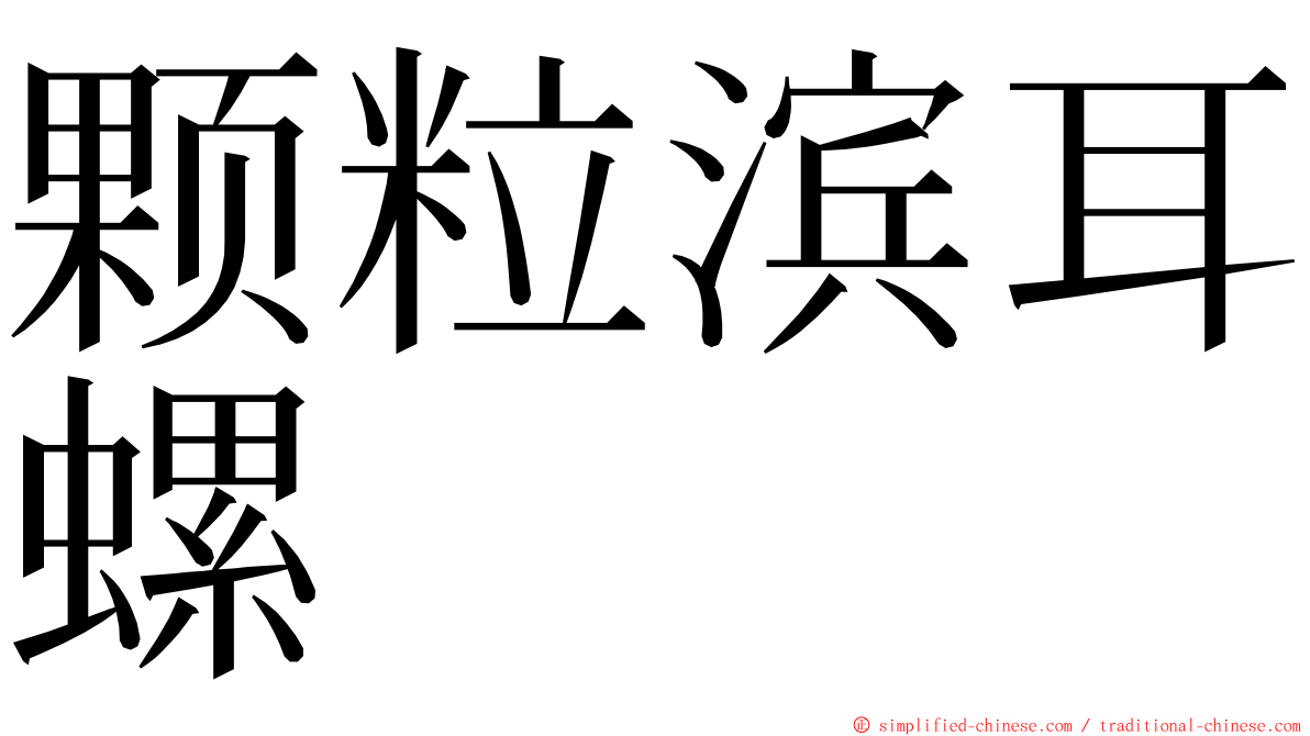 颗粒滨耳螺 ming font