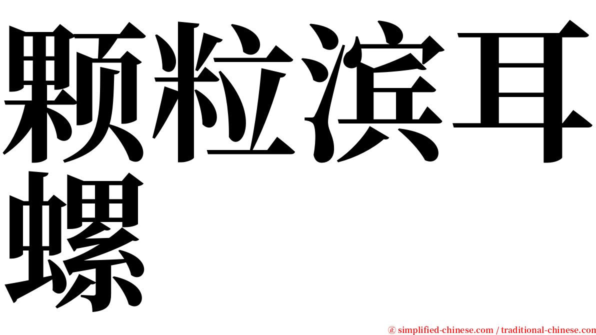 颗粒滨耳螺 serif font