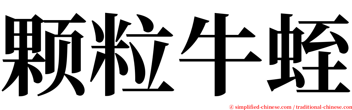 颗粒牛蛭 serif font