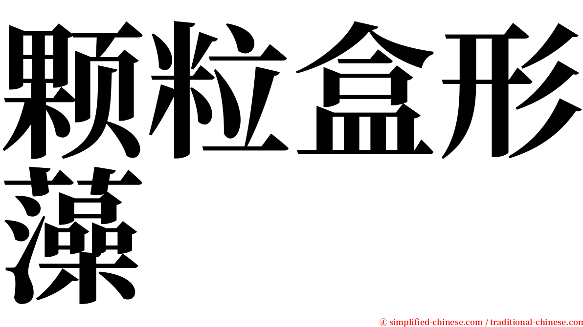 颗粒盒形藻 serif font