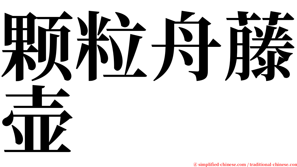 颗粒舟藤壶 serif font