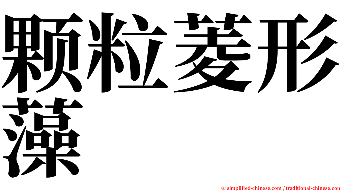 颗粒菱形藻 serif font