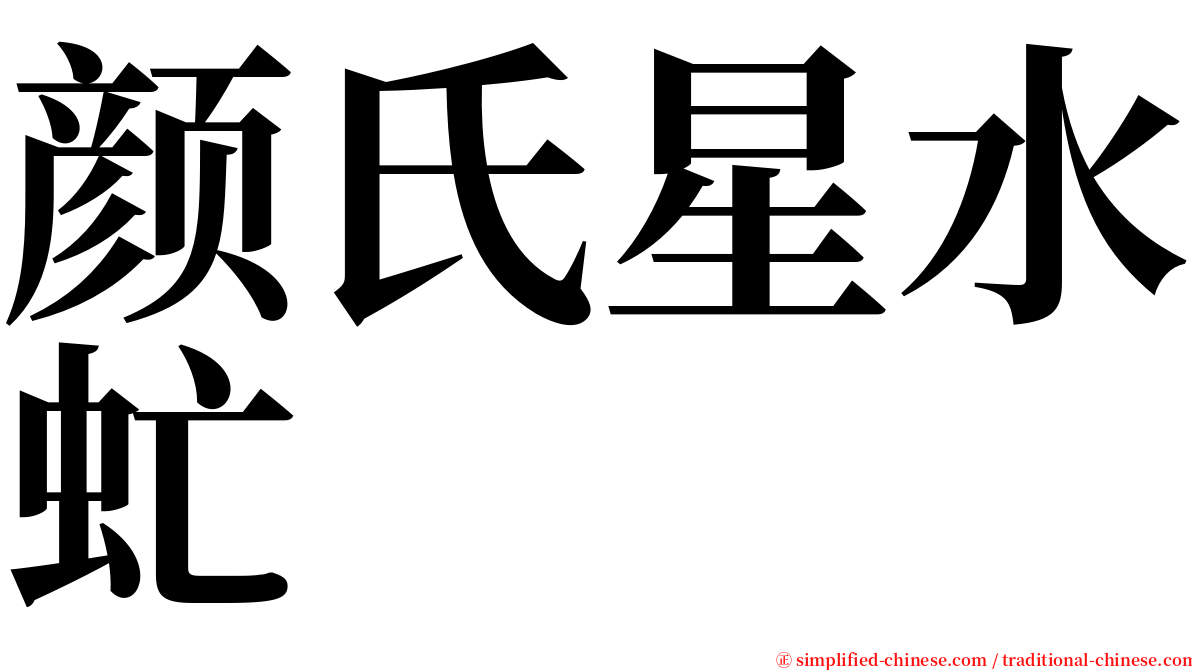 颜氏星水虻 serif font