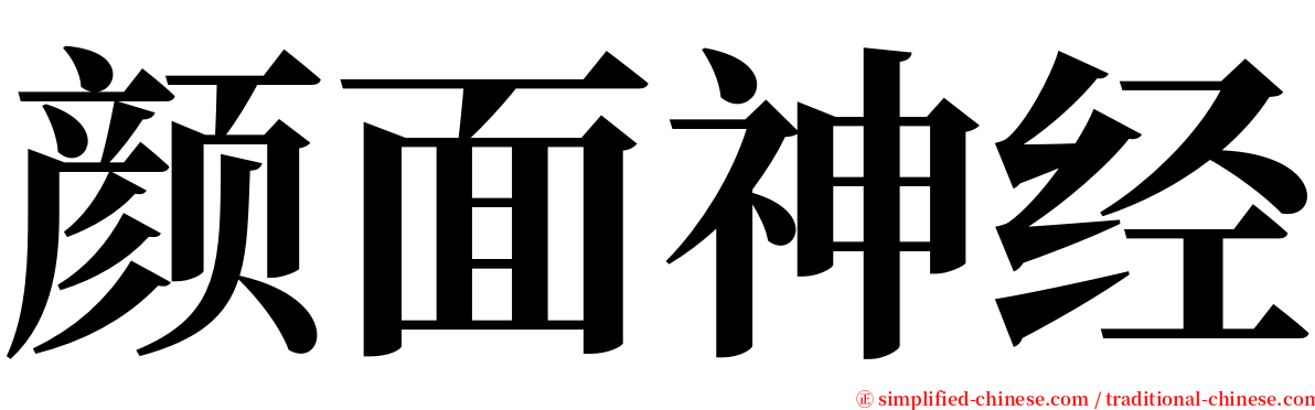 颜面神经 serif font