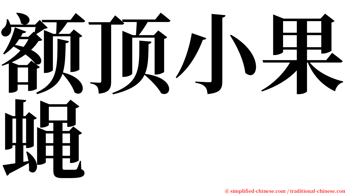 额顶小果蝇 serif font