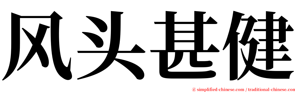 风头甚健 serif font