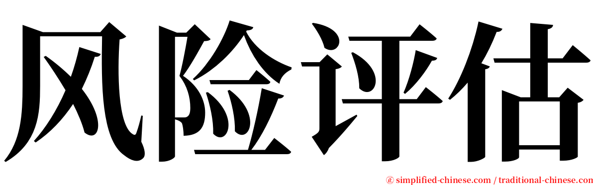 风险评估 serif font