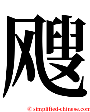 飕 serif font